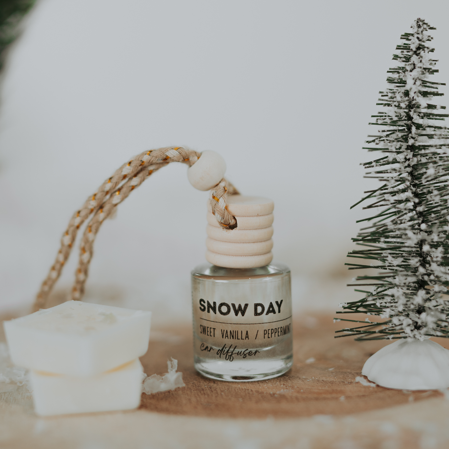 Snow Day
