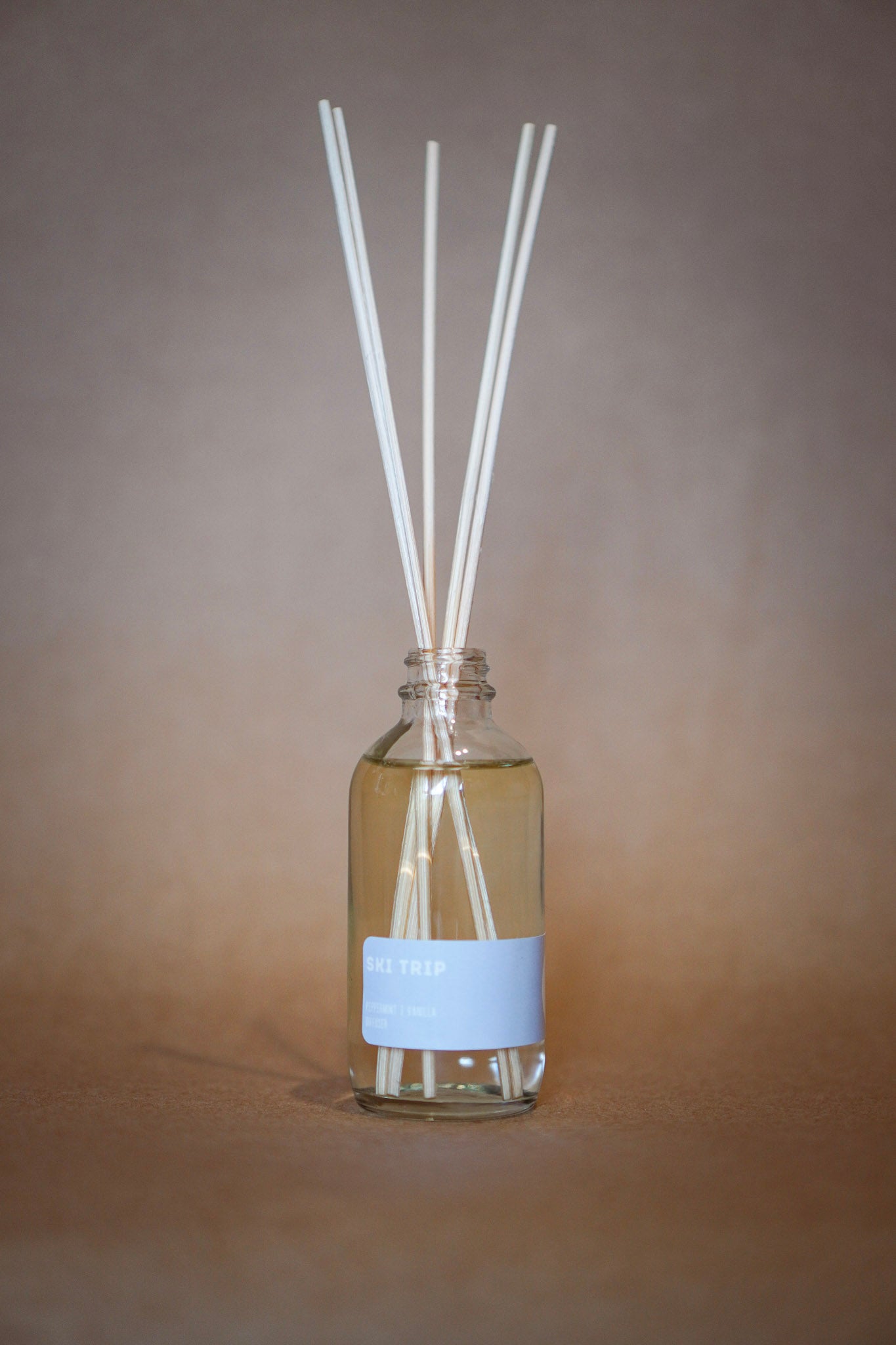 Ski Trip Soy Candle & Home Fragrance